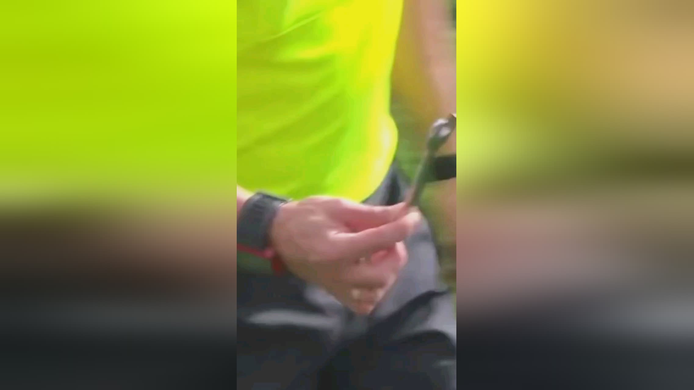 友们